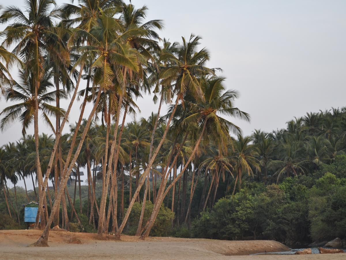 Tutti Garden Bungalows Hotel Mormugao Bagian luar foto