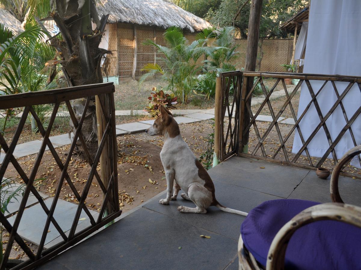 Tutti Garden Bungalows Hotel Mormugao Bagian luar foto